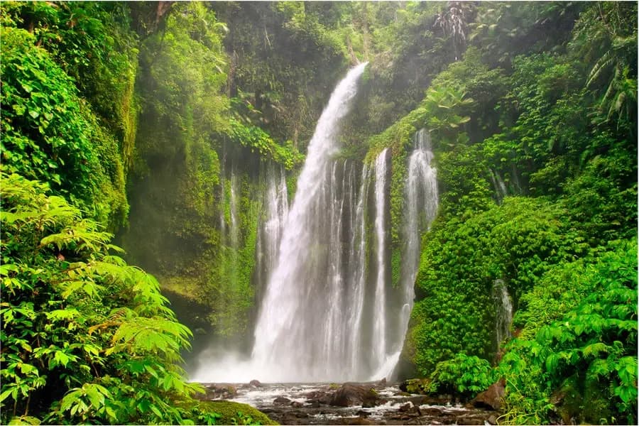 Hidden Waterfall Escape